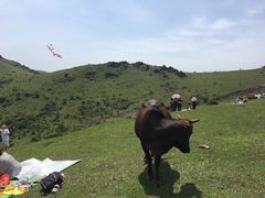 -大姆山草场