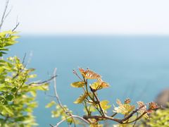 -灵山岛风景区