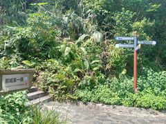 -梧桐山风景名胜区