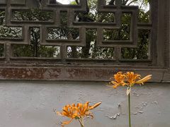 -杭州植物园