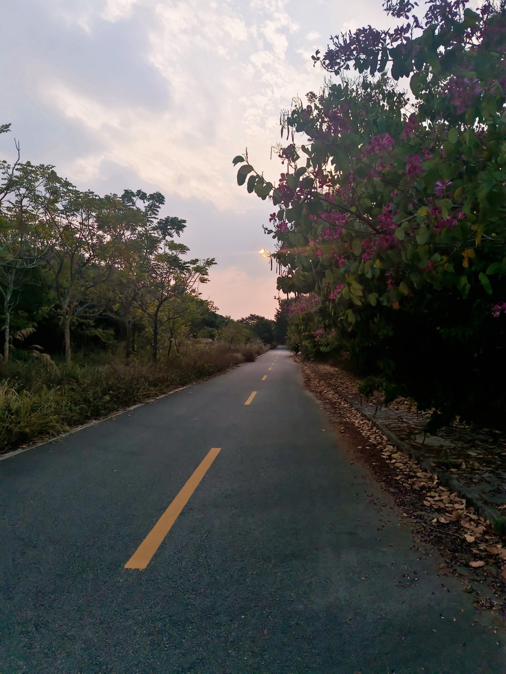 惠州观洞湖森林公园,骑行天堂,比松山湖更美!