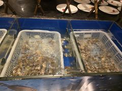 -安蒂娅·海鲜自助餐厅(安蒂娅美兰酒店)