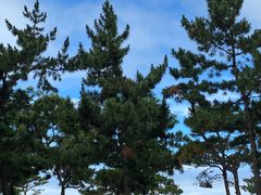 -一杯海(国际海水浴场店)