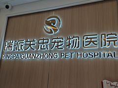-瑞派·关忠动物医院·猫专科·犬专科(三环新城店)