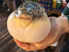 -永安鱼庄·镇江菜(丁卯店)