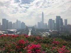 -荔枝公园-小平画像广场