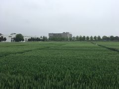-西北农林科技大学(北校区)