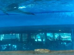 -波塞冬旅游度假区