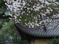 -阿育王寺