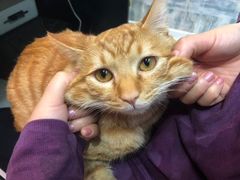 -沐沐家宠物(成寿寺店)