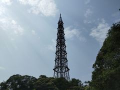 -天鹿湖森林公园
