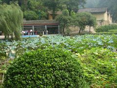 -韶山毛泽东同志故居