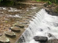 -东天目山风景区