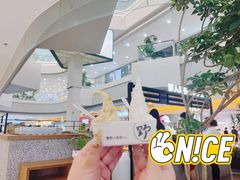 -野人先生Gelato(上海长宁龙之梦店)
