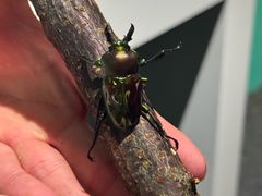 -成都银泰中心in99