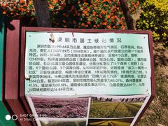 -武清南湖绿博园