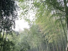 -兰亭风景区