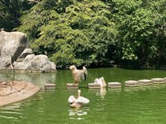 -昆明动物园