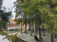-金砂公园