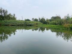 -西溪国家湿地公园