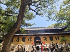 -普陀山风景名胜区-法雨禅寺