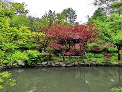 -四明山国家森林公园