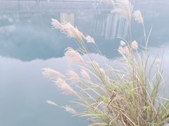 -郑件洋芋饭庄