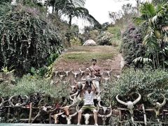 -西双版纳基诺山寨