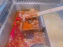 -野妹火锅(龙岗店)