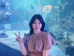 -烟台海昌鲸鲨海洋公园