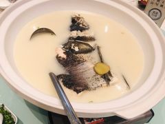 久宴天目湖大鱼头-久宴·天目湖大鱼头(恐龙园店)