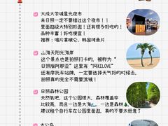 -日照灯塔风景区