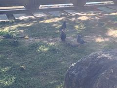 -宗角禄康公园