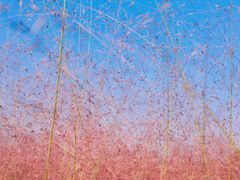 -汉长安城未央宫国家考古遗址公园