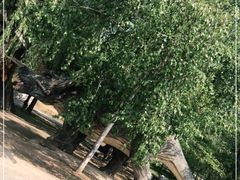-百里山水画廊-恐龙游乐园