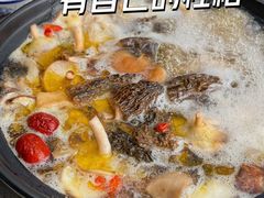 -蘑统田下·野生菌火锅