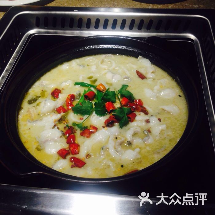 鱼锅锅泉水活鱼火锅