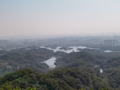 -大屏嶂森林公园