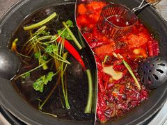 -朱光玉火锅馆(龙阳广场店)