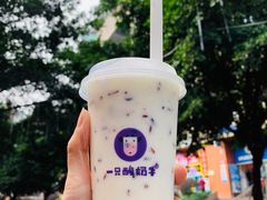 -一只酸奶牛(八一路店)