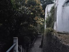 -紫金山天文台