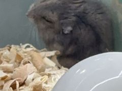 -北京华联购物中心(天通苑店)