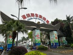 -深圳野生动物园