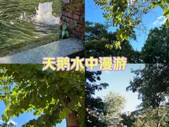 -晋江五店市传统文化旅游区