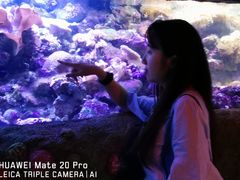 -悉尼海洋生物水族馆