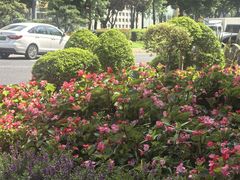 -成都银泰中心in99
