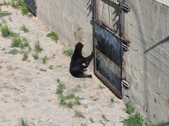 -石家庄市动物园