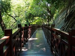 木桥-乌山风景区
