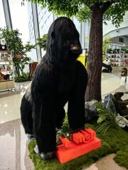 -IMON·HANSA潮玩玩偶毛绒玩具(通州万象汇店)