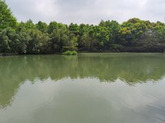 -兰亭风景区